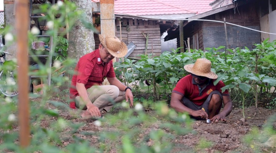 Rutan Rantau Kembangkan Kemandirian Warga Binaan lewat Program Ketahanan Pangan di Lahan Terbatas