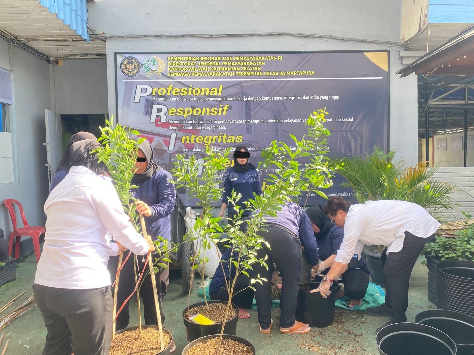 Dukung Ketahanan Pangan di Lahan Terbatas, Lapas Perempuan Martapura Tanam 85 Bibit Tabulampot