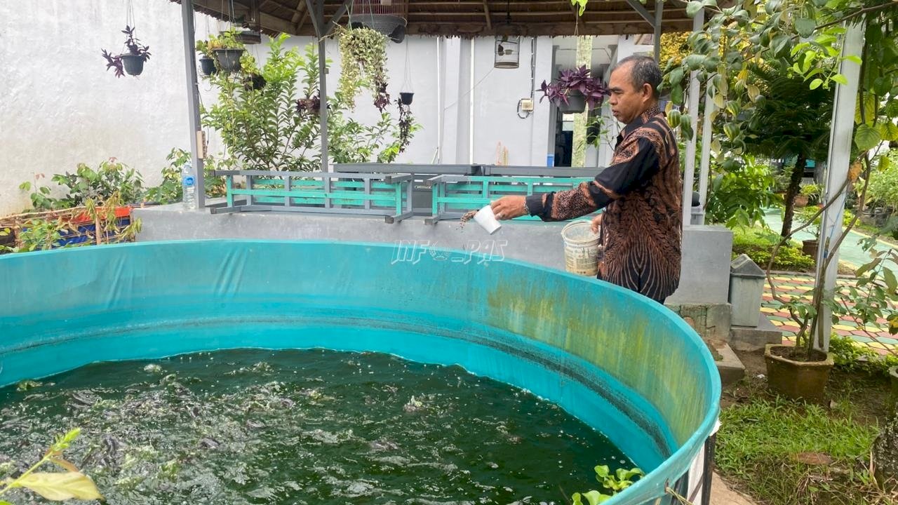 Lele dan Kebun Buah, Inovasi Rutan Barabai untuk Ketahanan Pangan dan Kemandirian