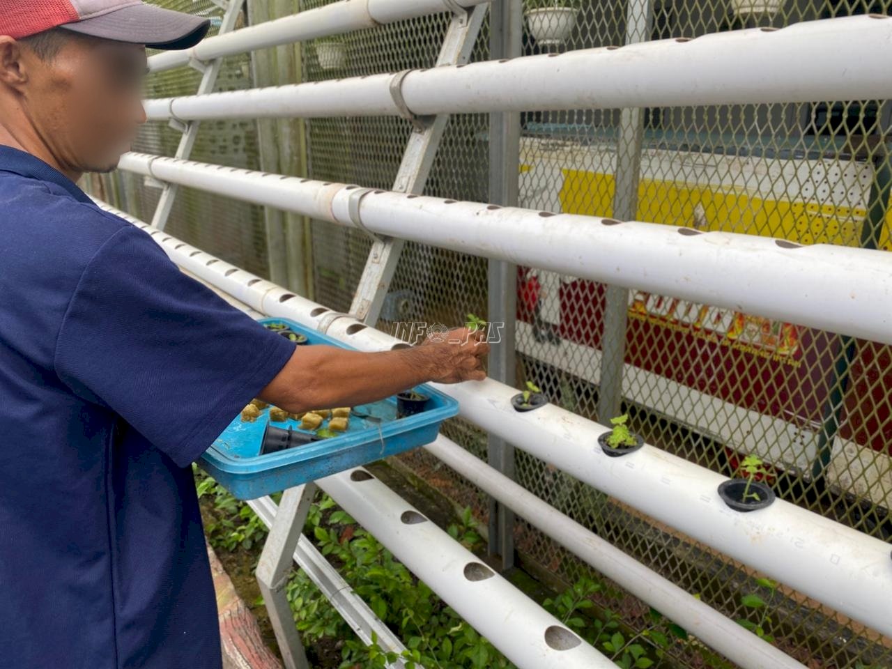 Segarkan Pembinaan, Lapas Narkotika Karang Intan Perluas Budidaya Daun Mint Hidroponik di SAE 1