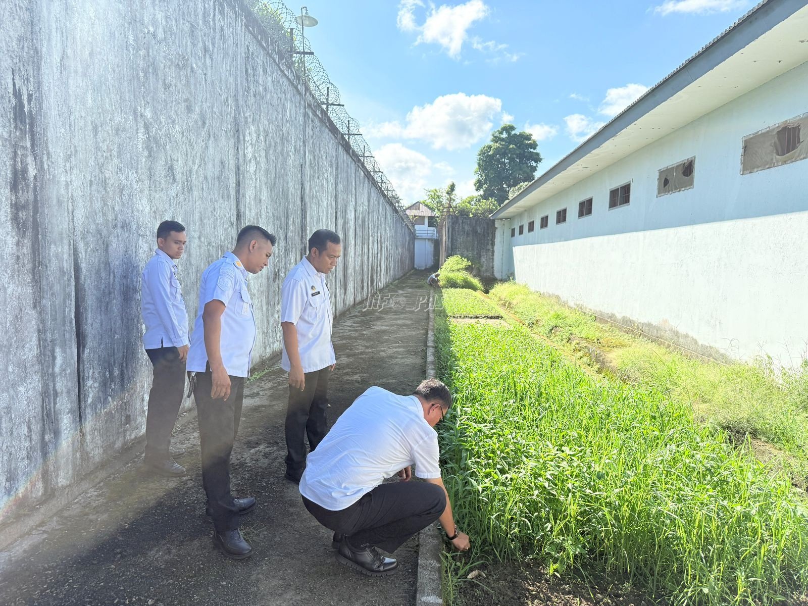 Dorong Kemandirian, Kalapas Ambon Pastikan Kesiapan Lahan Pertanian Warga Binaan