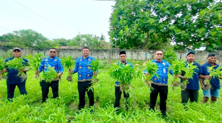 Rutan Masohi Panen Kangkung, Bukti Nyata Pembinaan dan Ketahanan Pangan