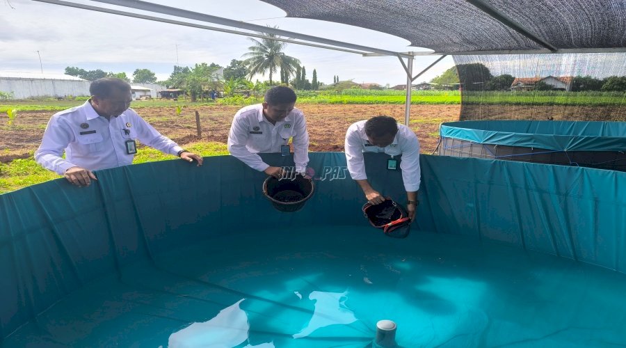 Rutan Pelaihari Bekali Warga Binaan dengan Keterampilan Perikanan dan Pertanian