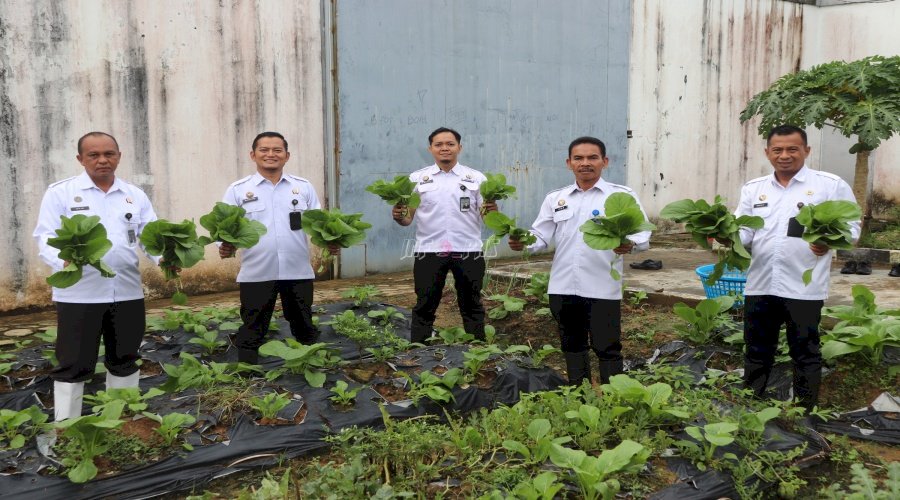 Lapas Tanjung Panen Sawi, Bukti Nyata Pemberdayaan Warga Binaan