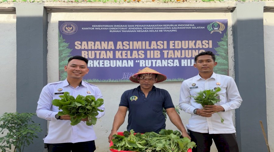 Kembali Panen Sawi, Rutan Tanjung Terus Dukung Program Ketahanan Pangan Nasional