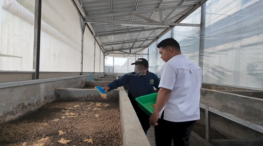 Lapas Cibinong Kembangkan Inovasi Budidaya Maggot Bernilai Jual Tinggi