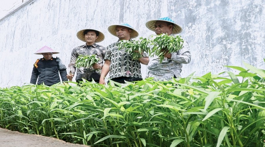 Rutan SoE Panen Sayur Kangkung, Wujud Pembinaan dan Ketahanan Pangan