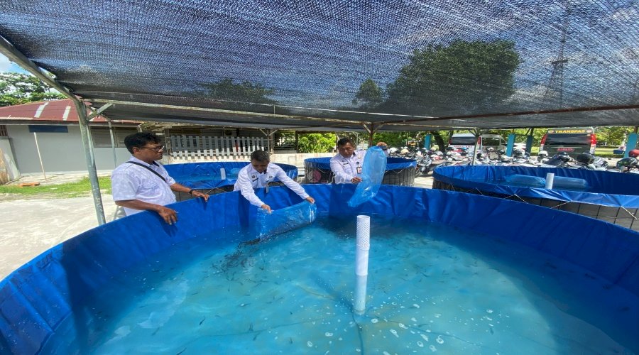 Lapas Pangkalan Bun Gandeng Dinas Perikanan Kab. Kotawaringin Barat Tebar Benih Lele di SAE 