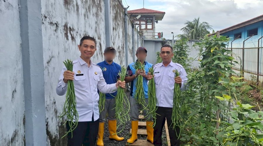 Dukung Ketahanan Pangan, Rutan Marabahan Panen 20 Kg Kacang Panjang