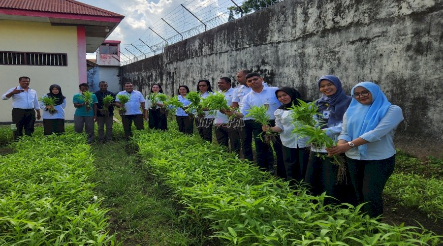Warga Binaan Berkebun, Program Pembinaan Produktif di Lapas Tual Hasilkan 24 Kg Kangkung