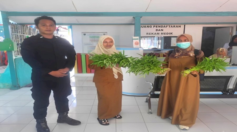Kangkung Hidroponik Produksi Warga Binaan Lapas Geser Laris Diminati Masyarakat