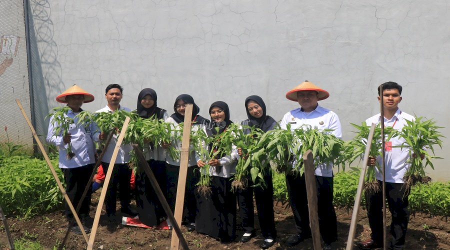 Dukung Ketahanan Pangan, Lapas Pemuda Madiun Panen Kangkung