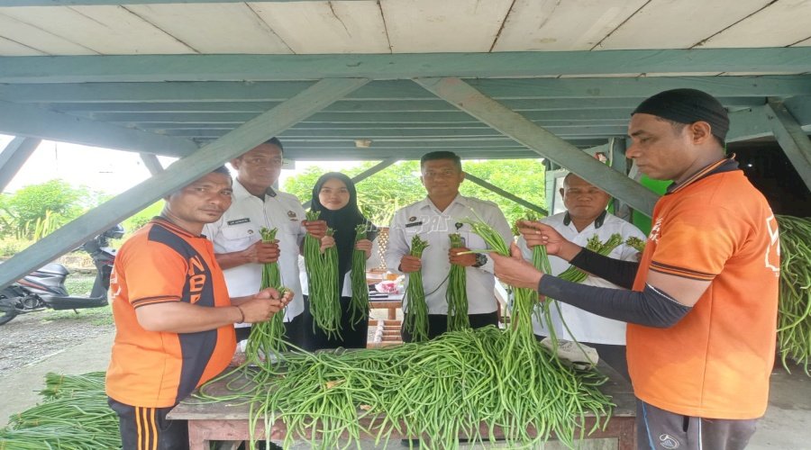Lapas Piru Panen 30 Ikat Kacang Panjang, Perkuat Program Kemandirian dan Dukung Ketahanan Pangan