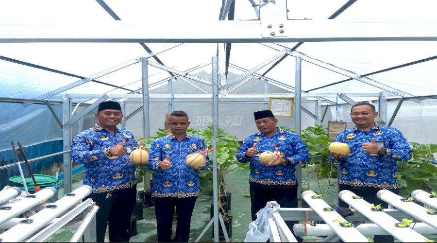 Dukung Ketahanan Pangan, Lapas Pangkalan Bun Panen Perdana Melon di Area SAE