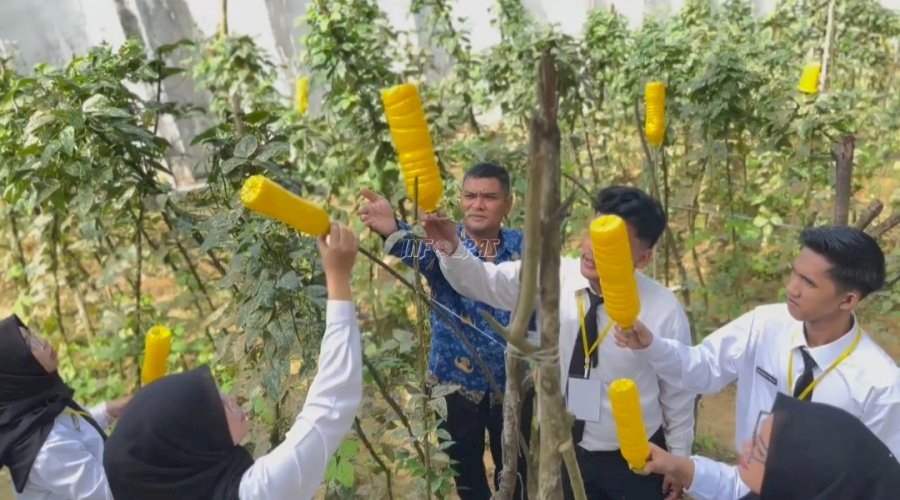 Lapas Kotabaru Terapkan Metode Perangkap Botol Kuning untuk Pengendalian Hama Tanaman