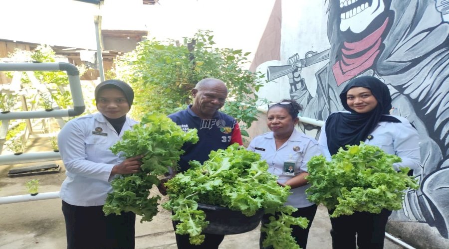 Warga Binaan Lapas Wahai Sukses Panen Aneka Komoditas Sayuran