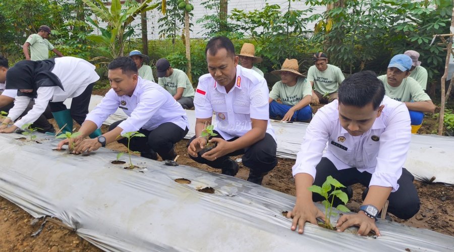 Wujudkan Ketahanan Pangan, Lapas Banjarbaru Tanam 250 Bibit Cabai di SAE