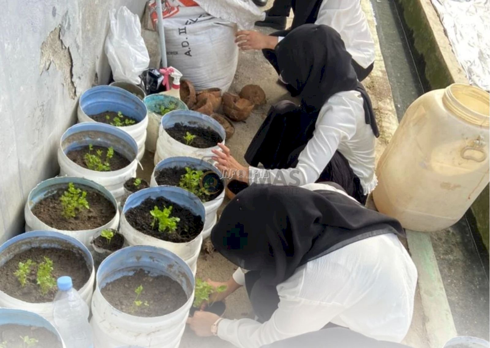 Perkuat Kemandirian, Rutan Majene Kembangkan Taman Mini bersama Warga Binaan dan Peserta Magang