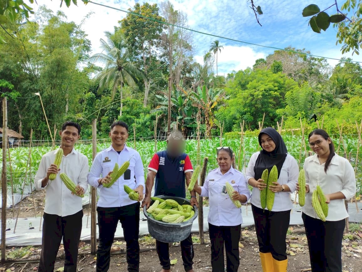 Lapas Wahai Libatkan Peserta Magang Panen Sayur Pare, Beri Pengalaman Praktis