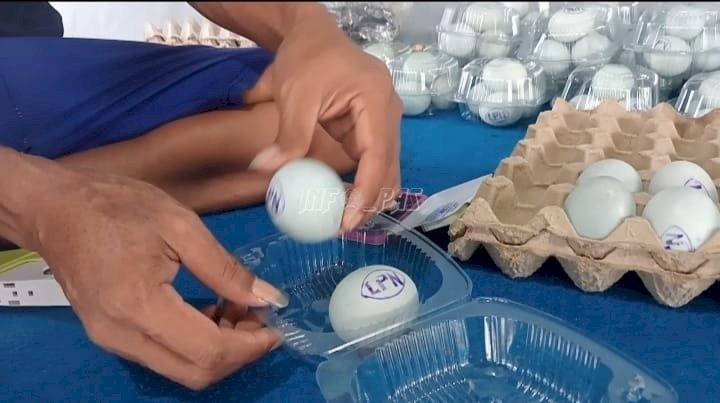 Warga Binaan Lapas Narkotika Karang Intan Belajar Produksi Telur Asin sebagai Bekal Kemandirian