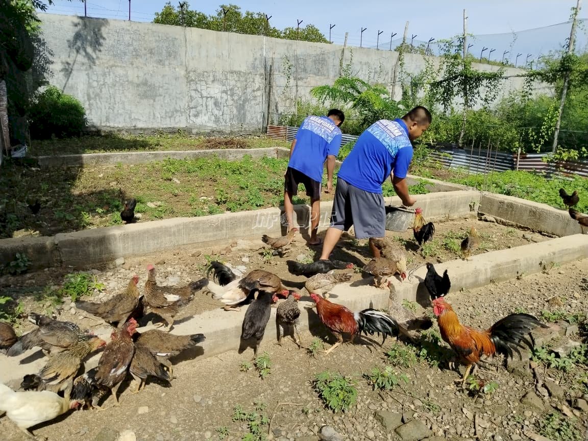 Kanwil Ditjenpas Sulsel Apresiasi Terobosan Ketahanan Pangan Rutan Selayar