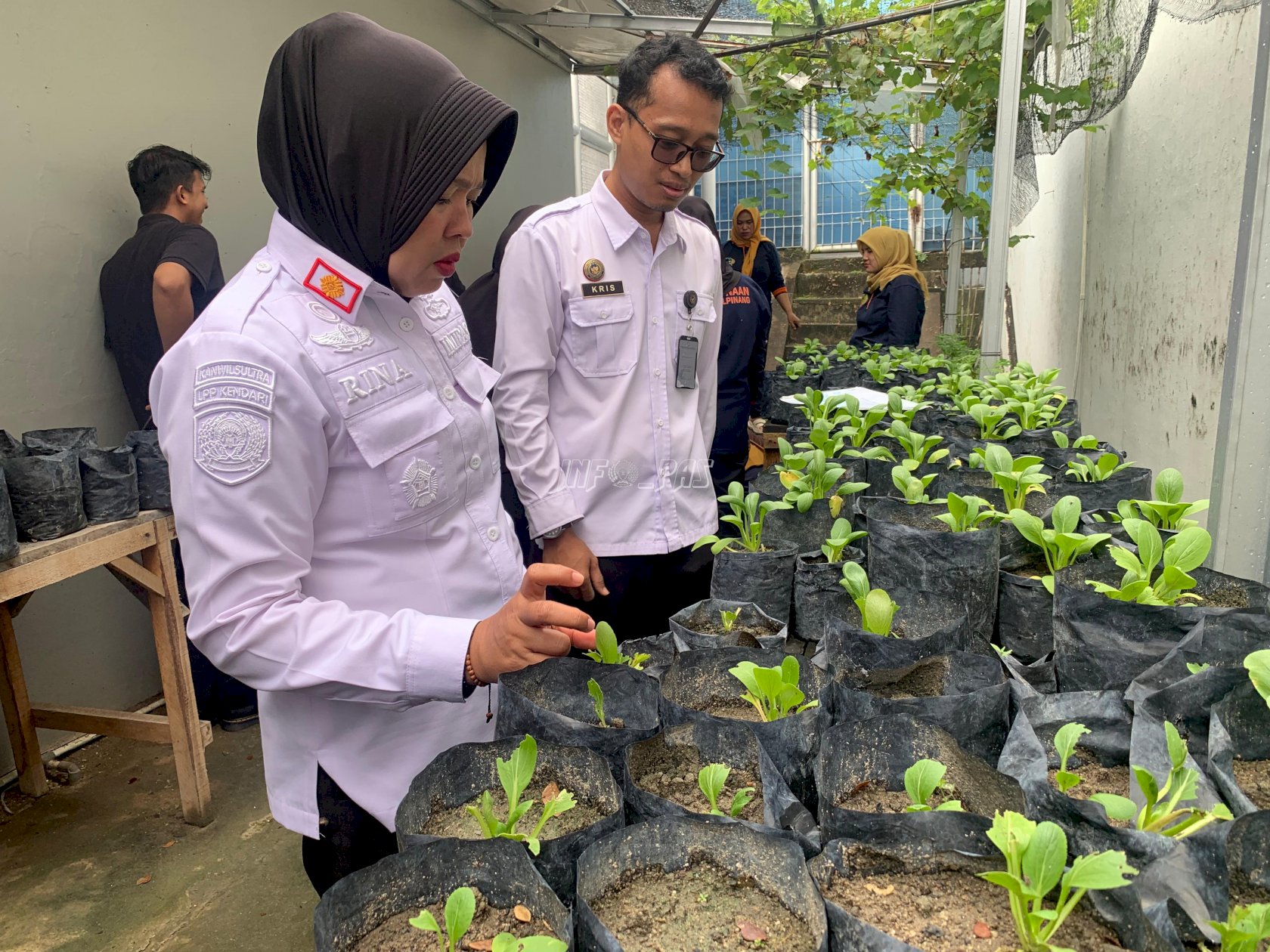 Warga Binaan Lapas Perempuan Pangkalpinang Ikuti Pelatihan Bahasa Inggris hingga Pembuatan Pupuk Organik