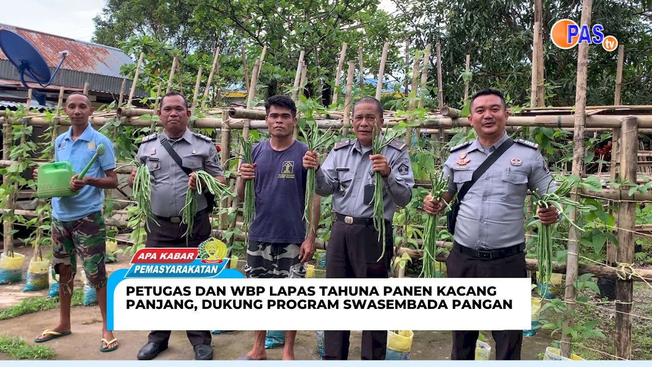 Petugas dan WBP Lapas Tahuna Panen Kacang Panjang, Dukung Program Swasembada Pangan