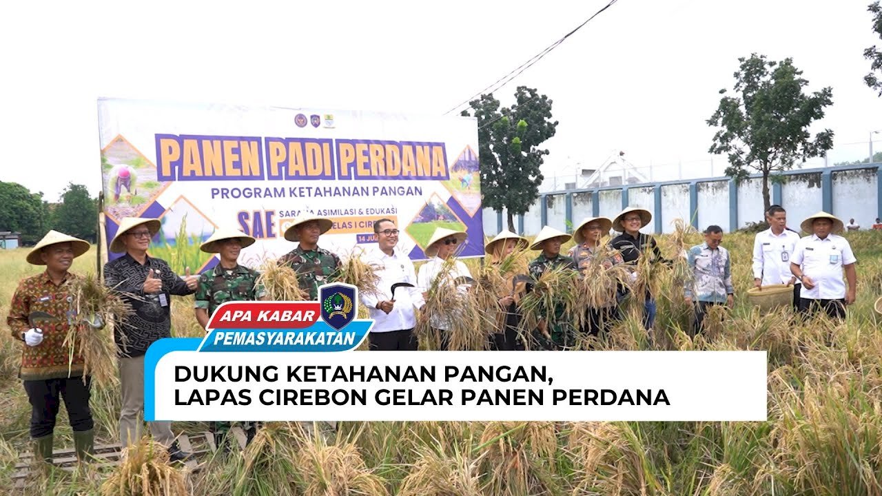 DUKUNG KETAHANAN PANGAN, LAPAS CIREBON GELAR PANEN PERDANA