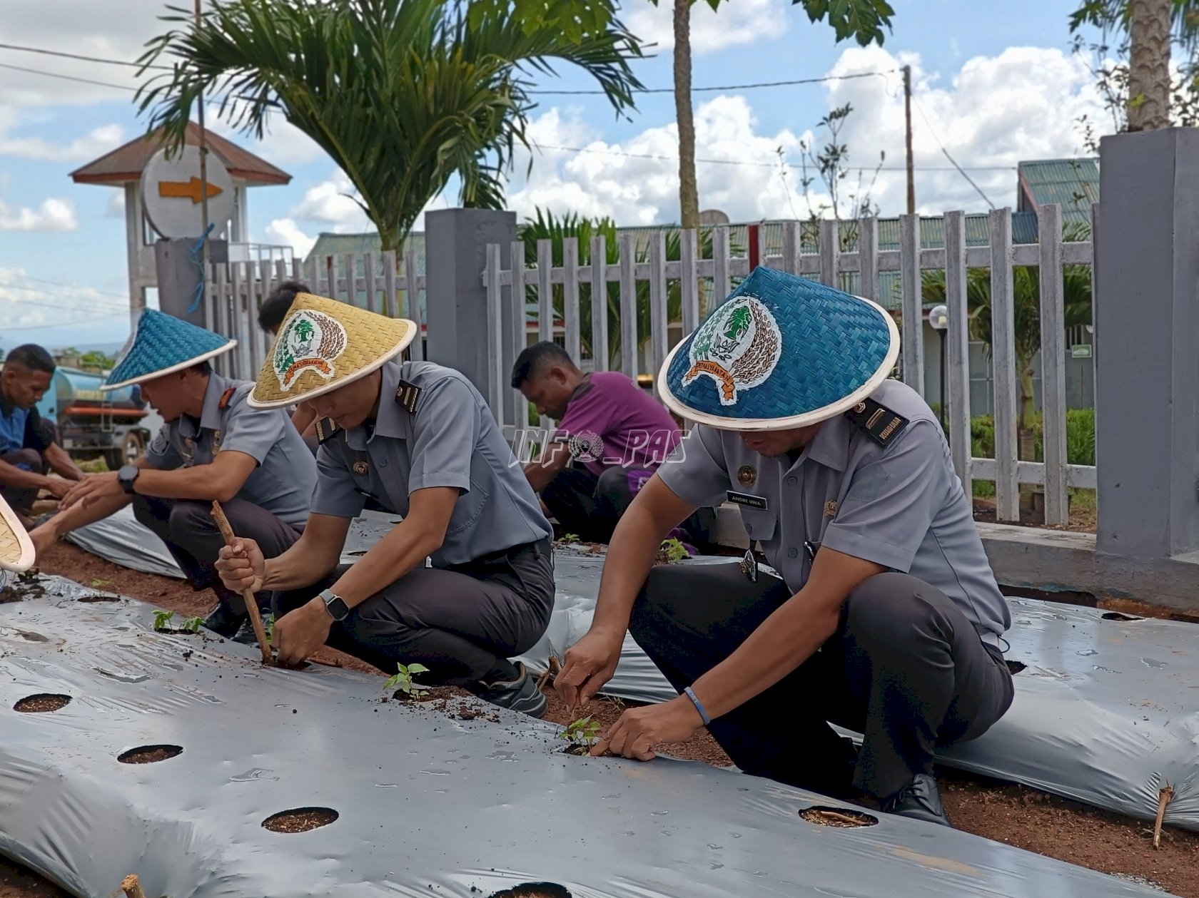 Tanam 2.800 Anakan Cabai, Rutan SoE Dorong Pembinaan Produktif dan Ketahanan Pangan