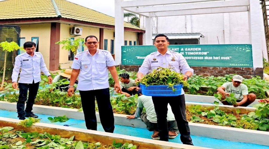 Lapas Banjarbaru Panen 50 Kg Edamame, Perkuat Dukungan Ketahanan Pangan