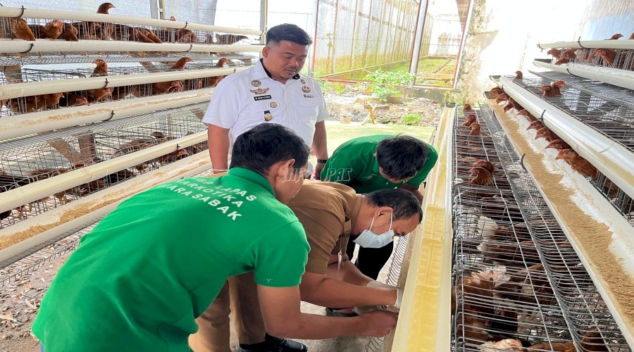 Lapas Narkotika Muara Sabak Perkuat Program Ketahanan Pangan lewat Vaksinasi Ratusan Ayam Petelur