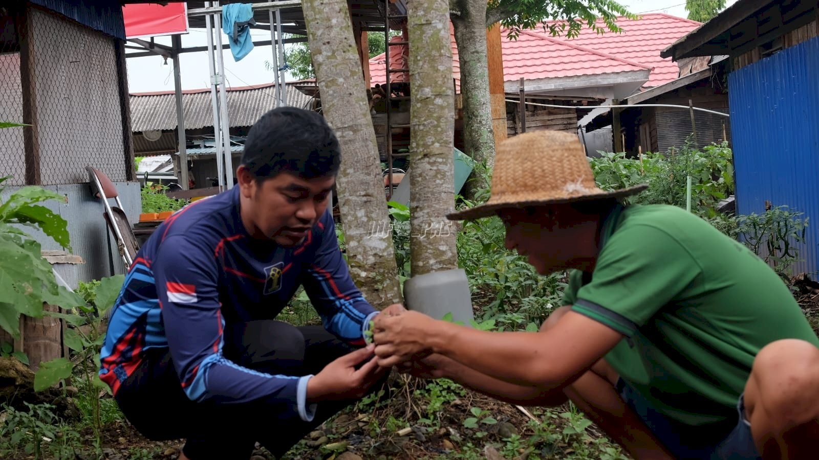 Tanam Bibit Tanaman, Rutan Rantau Optimalkan Lahan Terbatas Dukung Ketahanan Pangan