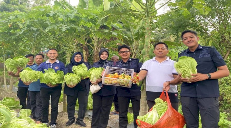 Dukung Kemandirian Warga Binaan, Lapas Wahai Panen Sayur bersama Kanwil Ditjenpas Maluku