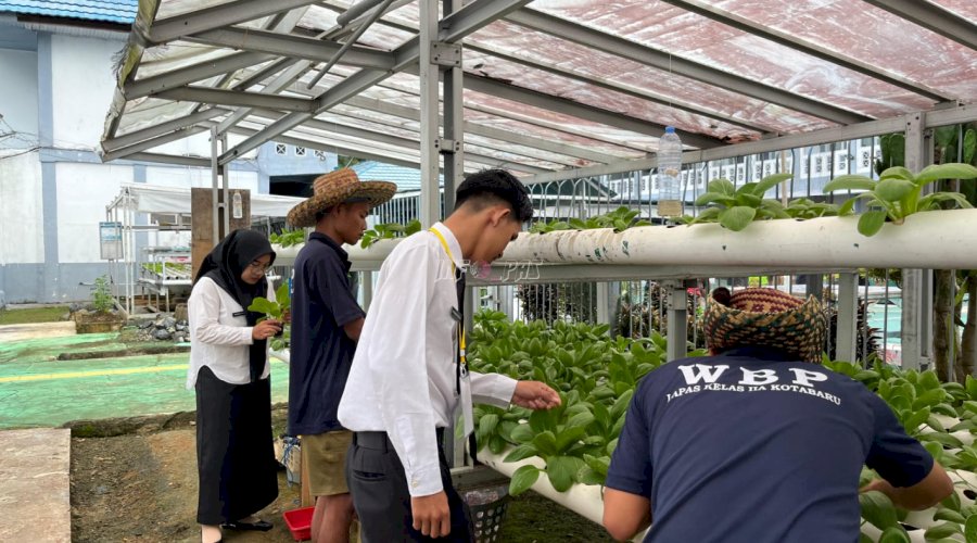 Penuhi Permintaan Pasar Jelang Tahun Baru, Lapas Kotabaru Optimalkan Kegiatan Pertanian