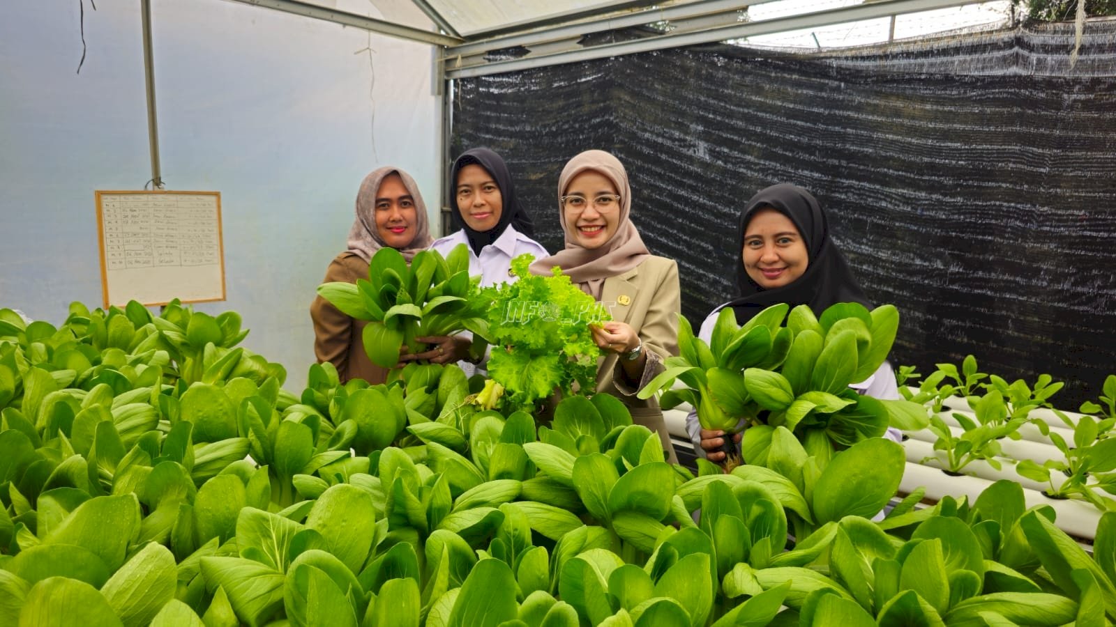 Ketahanan Pangan Lapas Pangkalpinang Tuai Apresiasi Direktur RSUD Depati Hamzah