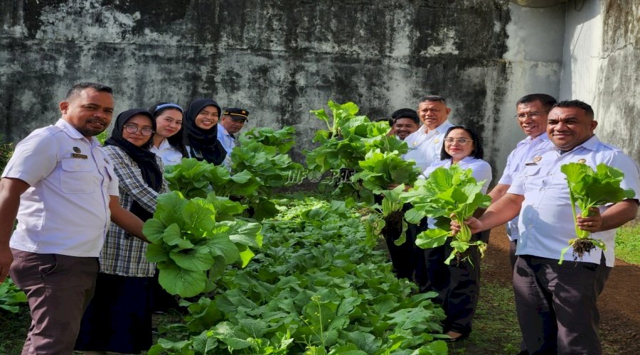 Akhir Tahun Produktif di Lapas Tual, Panen 22 Kg Sawi