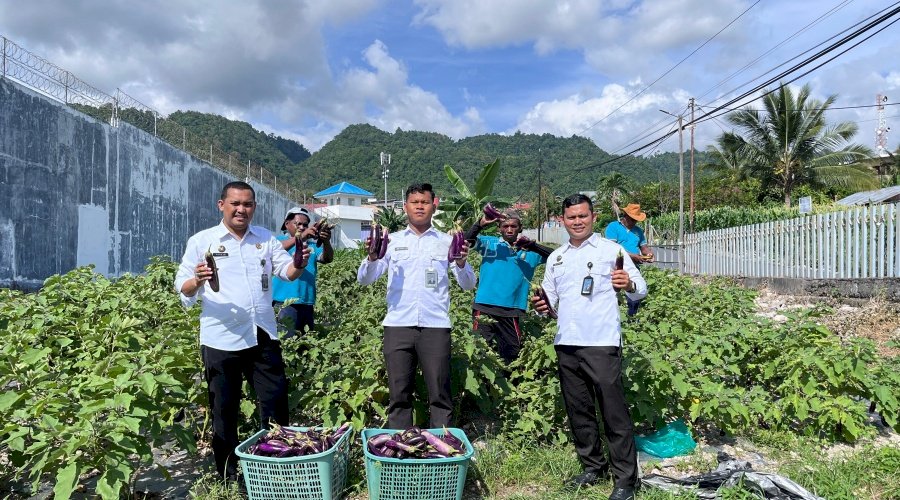 Lapas Luwuk Panen 1.080 Kg Sayuran Selama Desember 2025, Siap Sukseskan Panen Raya 2026