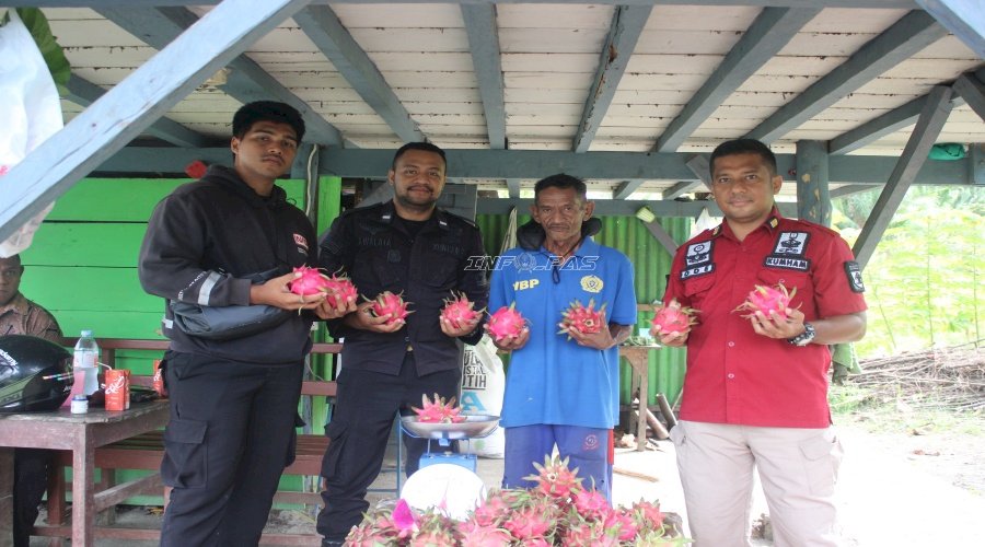 Lapas Piru Panen 13,5 Kg Buah Naga, Bukti Sukses Kemandirian Warga Binaan 