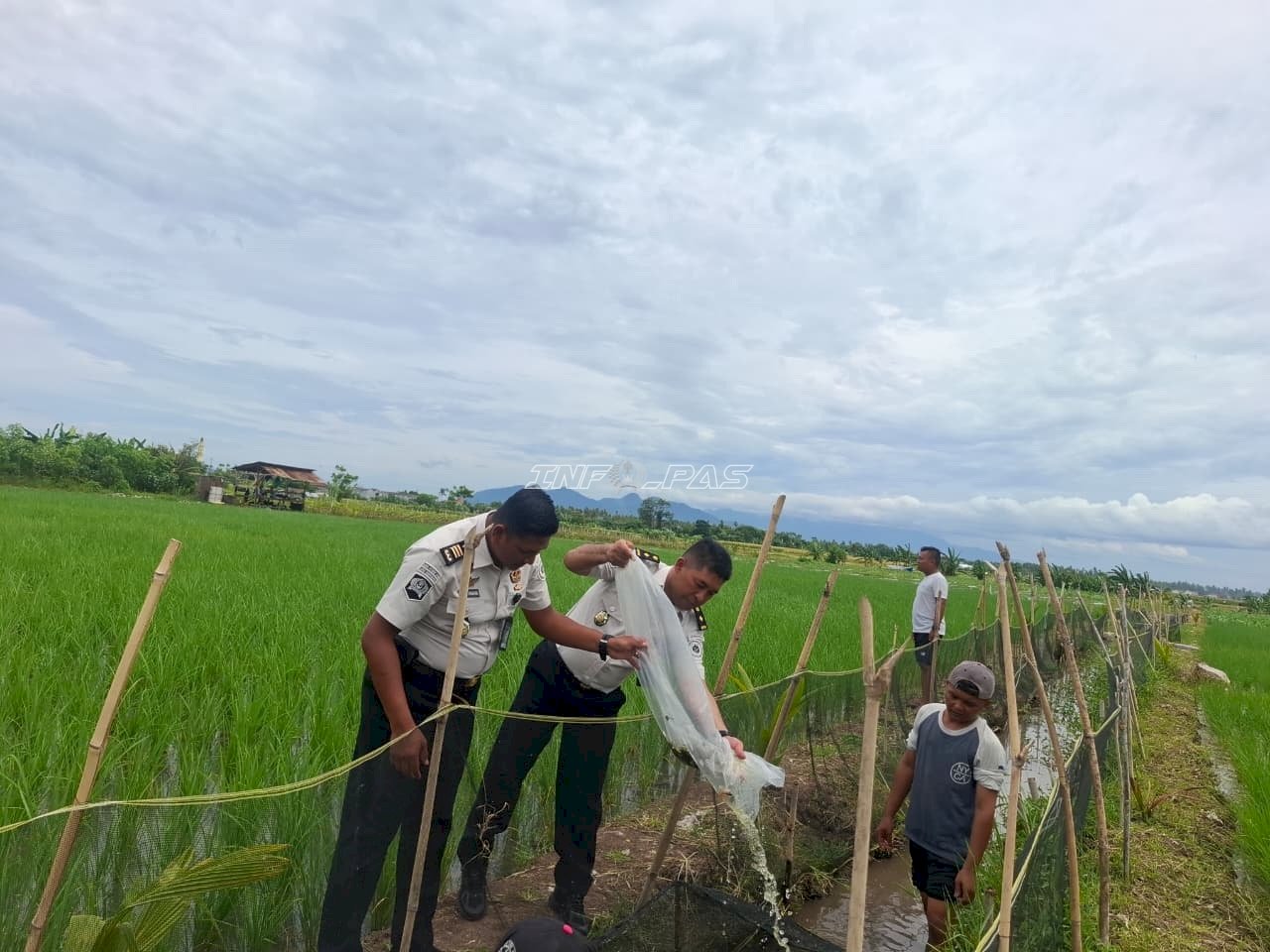 Kolaborasi dengan Pemda, Lapas Banyuwangi Tebar 2.000 Benih Nila di SAE
