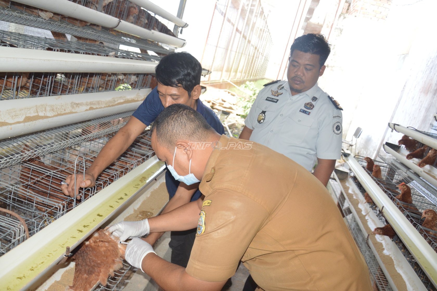 Jaga Kesehatan Ternak, Lapas Narkotika Muara Sabak Gandeng Dinas Peternakan Tanjabtim