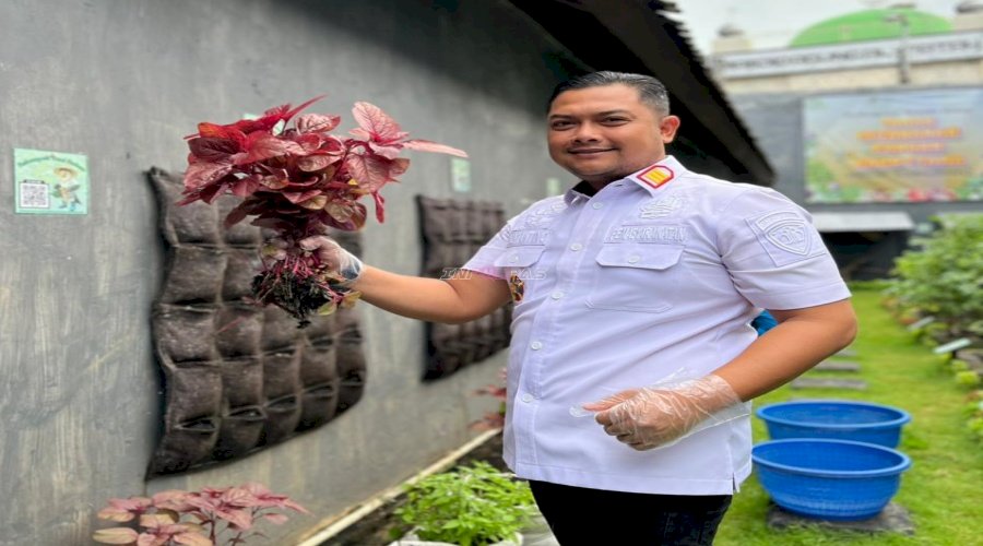 Rutan Klungkung Panen Bayam Hijau dan Merah di Taman Ketahanan Pangan Mahottama
