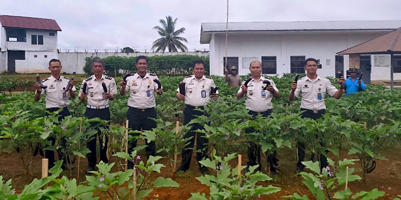 Panen 100 Kg Terong Ungu, Rutan Pelaihari Optimalkan Lahan Blok Hunian E
