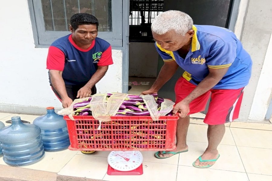 Hasil Panen 26 Kg Terong Diserahkan ke Dapur Lapas Atambua sebagai Bahan Makanan