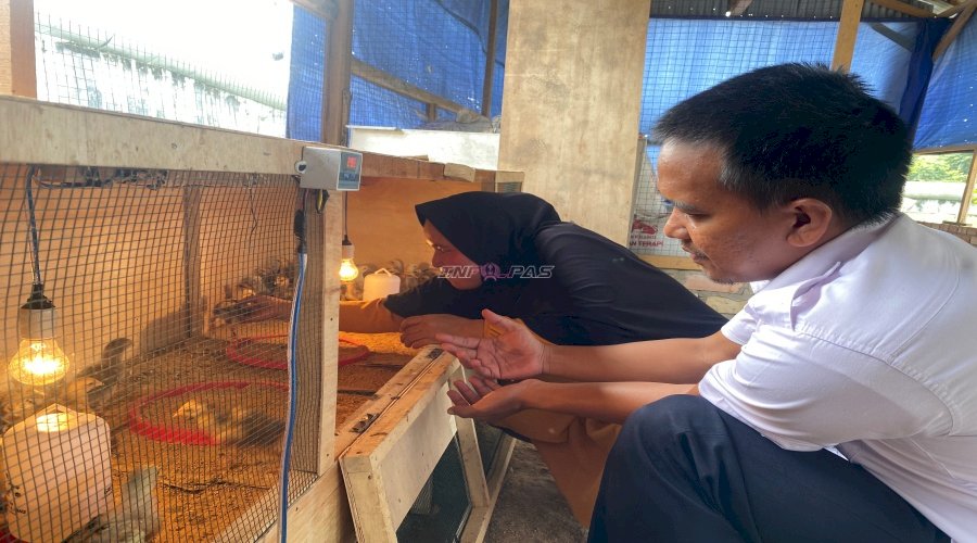 Manajemen Pembesaran Ayam KUB di Lapas Perempuan Jambi Dukung Program Kemandirian Warga Binaan