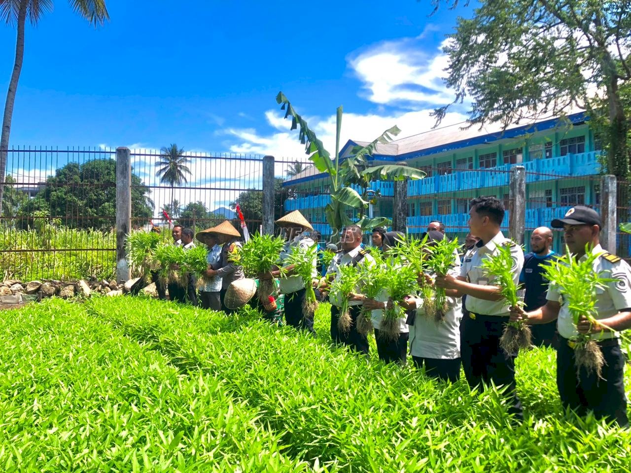 Panen Raya Serentak, Lapas Ternate Panen 34 Kilogram Kangkung