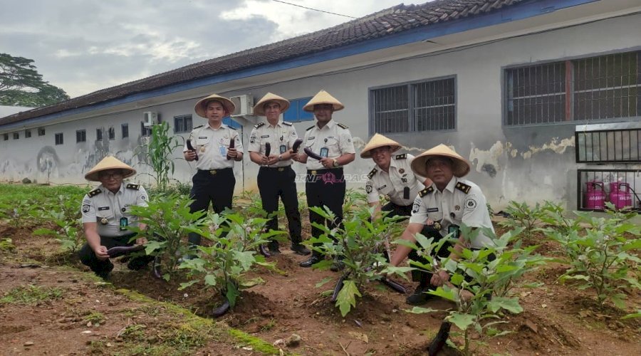 Panen Raya Serentak, Lapas Metro Wujudkan Ketahanan Pangan dan Kepedulian Sosial