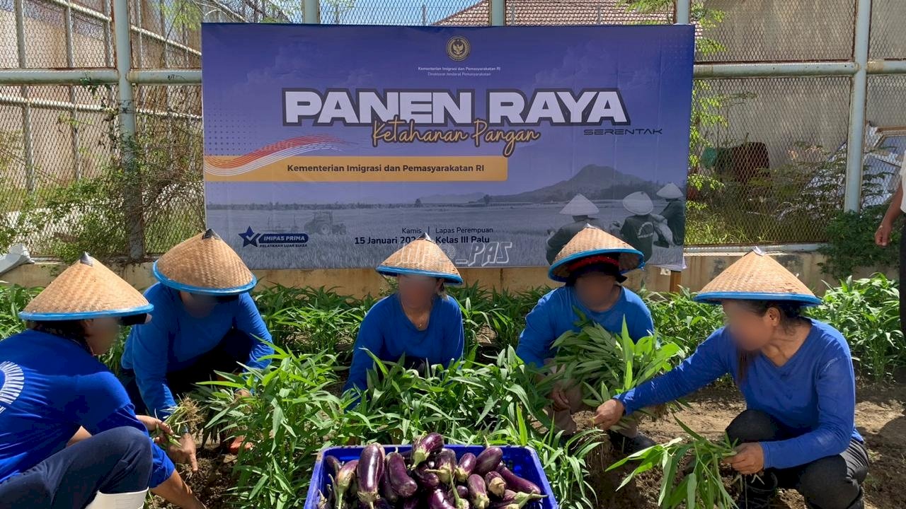 Panen Raya Serentak, Lapas Perempuan Palu Panen 40 Kg Sayuran