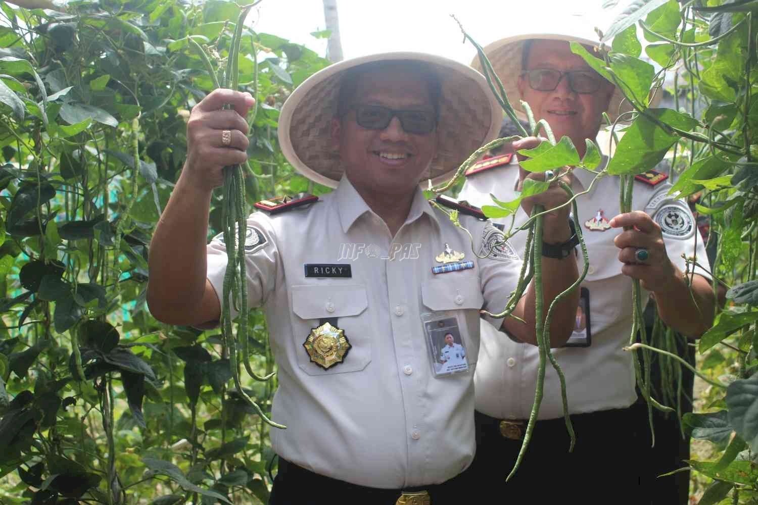 Panen Raya Serentak, Kanwil Ditjenpas Maluku Perkuat Komitmen Ketahanan Pangan Nasional