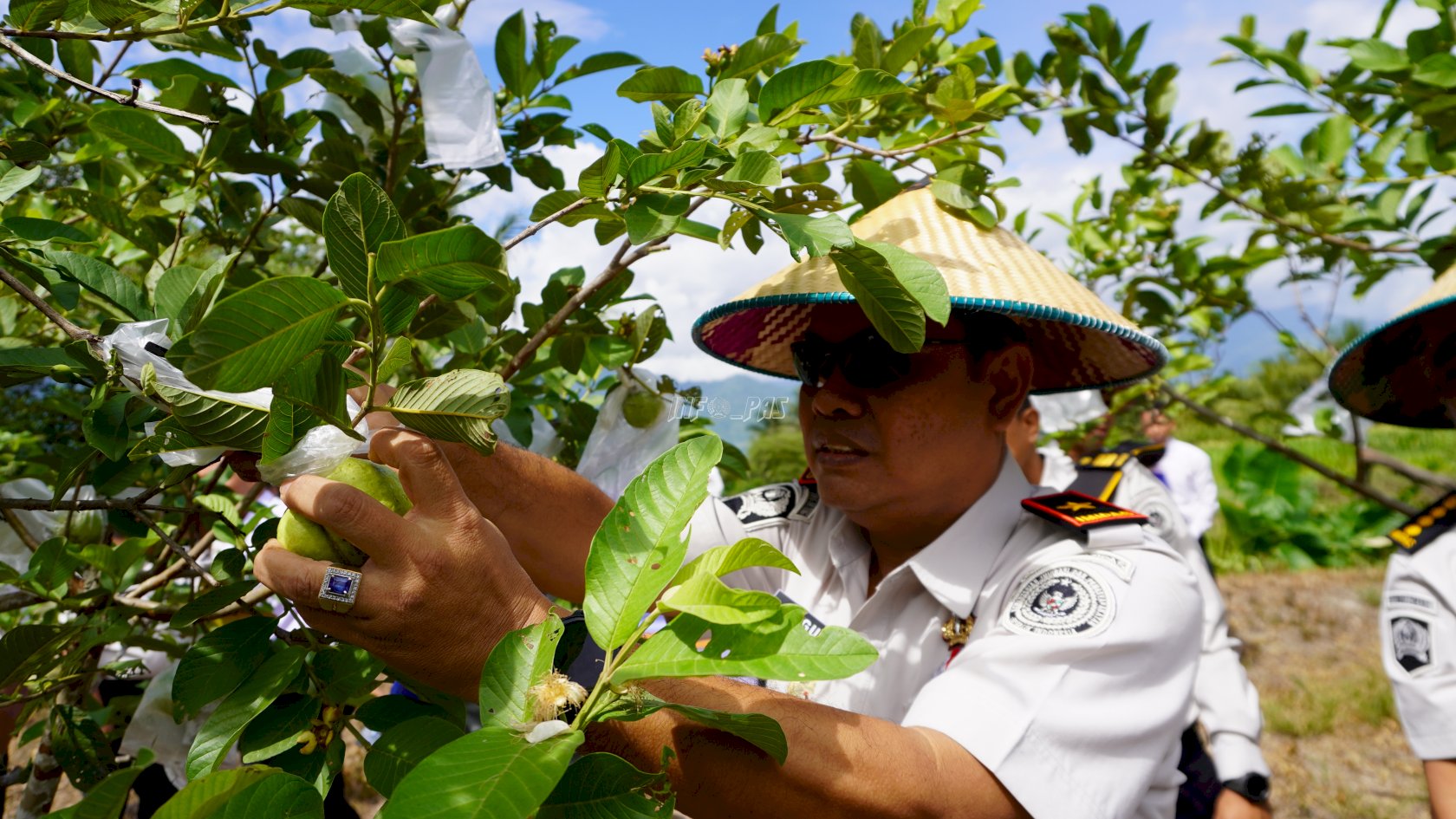 Dukung Ketahanan Pangan, Panen Raya Kanwil Ditjenpas Sulteng Tembus 1 Ton