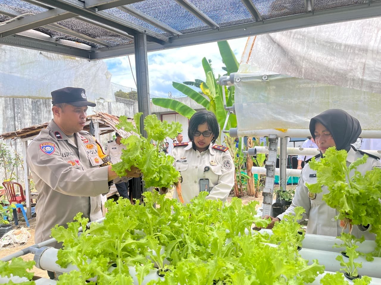 Panen Raya Serentak 2026, Lapas Perempuan Ambon Wujudkan Pembinaan Kemandirian